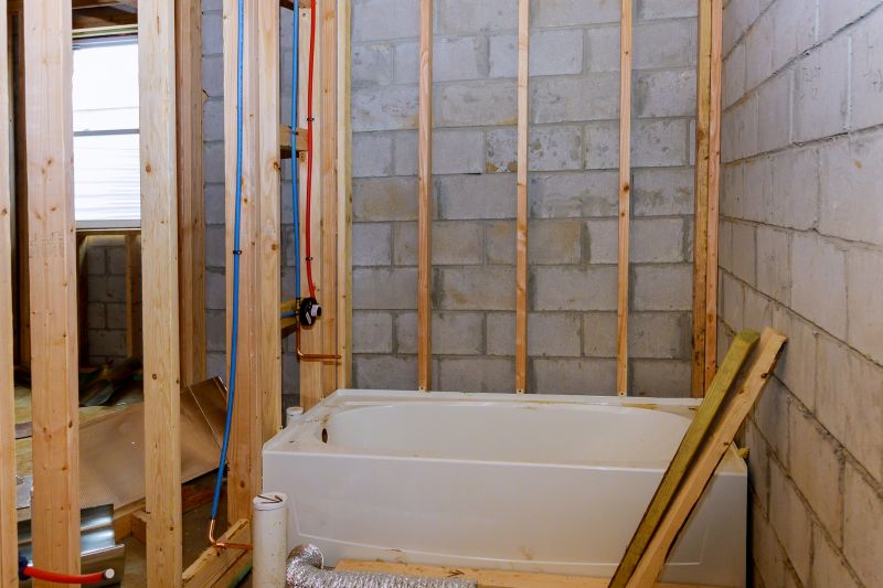 Top Tub To Shower Conversion Companies in Aledo, TX