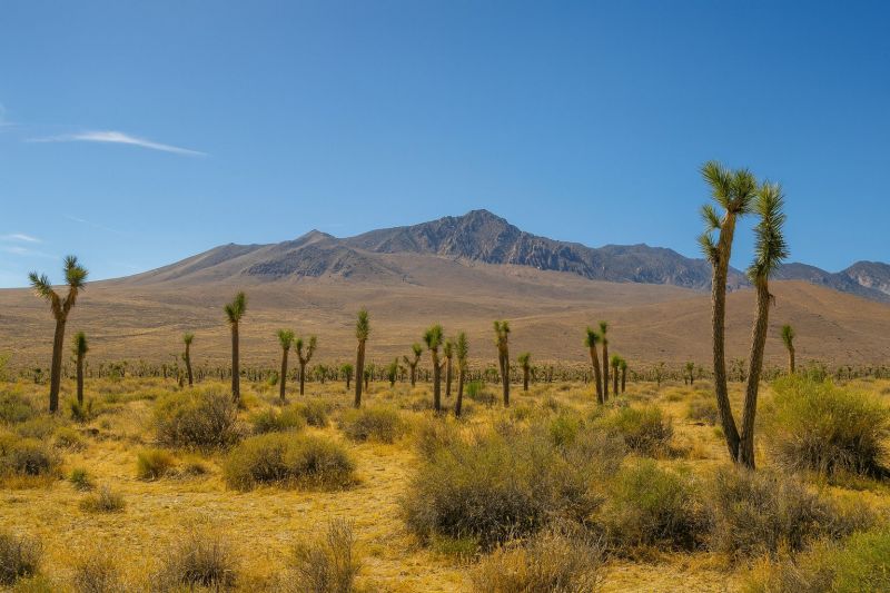 Best Tub To Shower Conversion pros in Joshua, TX